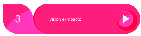 Vision e impacto