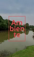 Rio en la selva